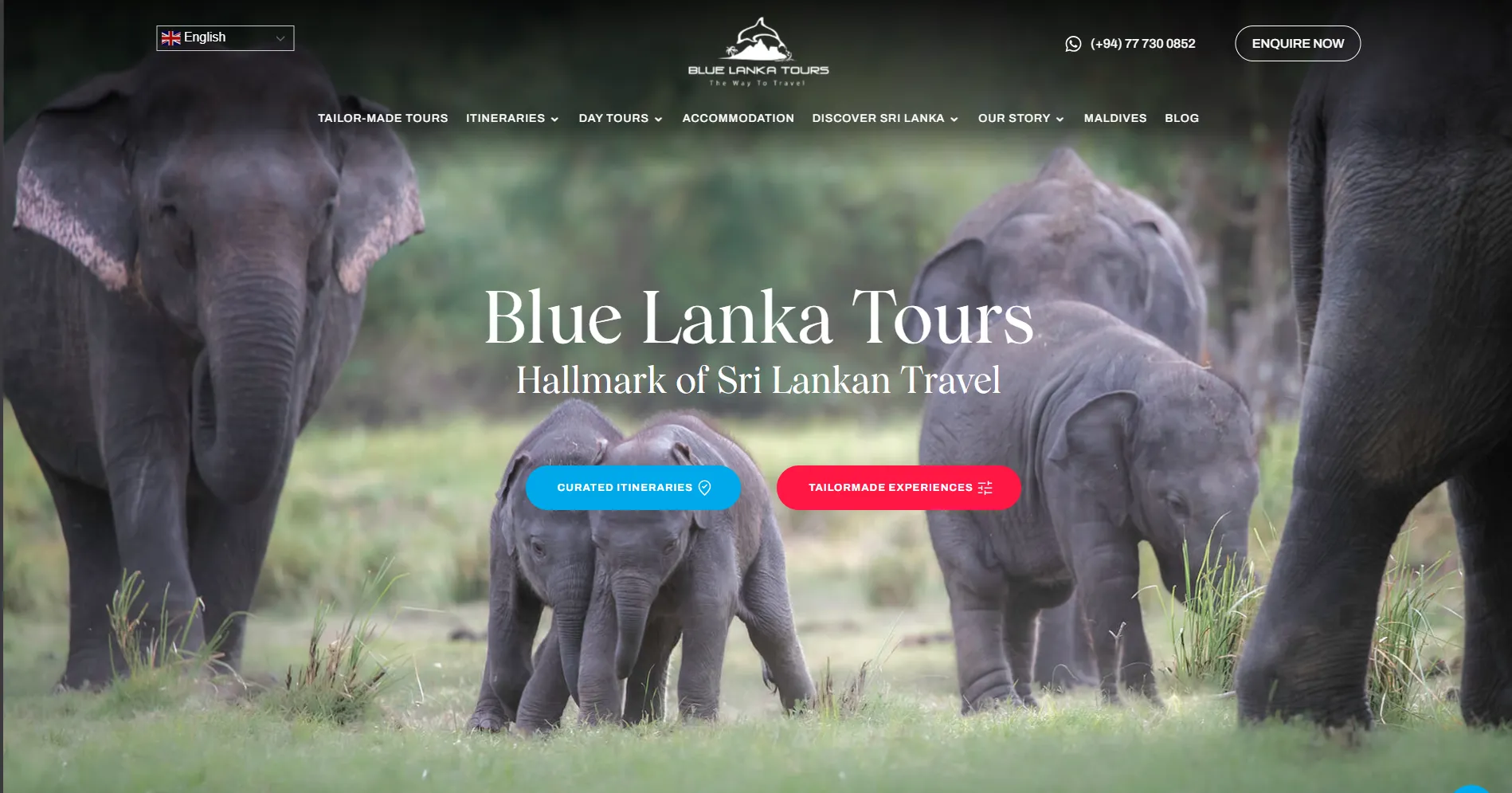 Blue Lanka Tours Website